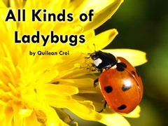 Tuần 18 Grade 2 - Học từ vựng và luyện đọc tiếng Anh theo K12Reader & các nguồn bổ trợ 