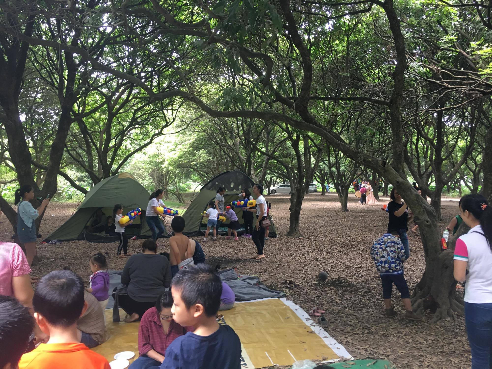 Tốn chưa đến 1 triệu, cả nhà có thể đưa nhau đi dã ngoại tại điểm cực hot ngay gần Hà Nội