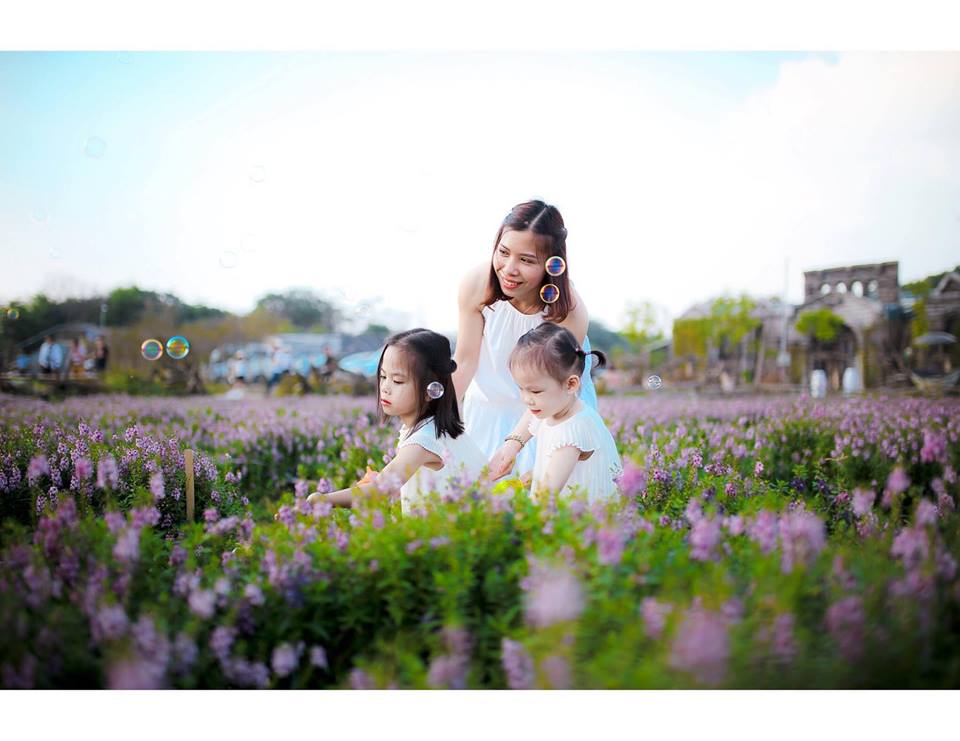 Thời tiết vẫn đang rất đẹp, cuối tuần ghé thung lũng hoa Hà Nội chụp ảnh là nhất!