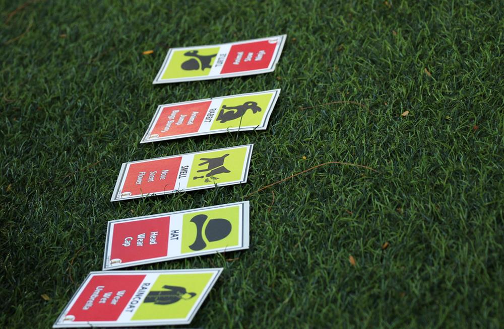 Buổi sinh hoạt English Speaking Club đầu tiên do ConTuHoc khởi xướng